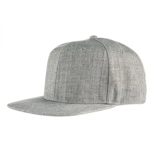 Snapback lippis