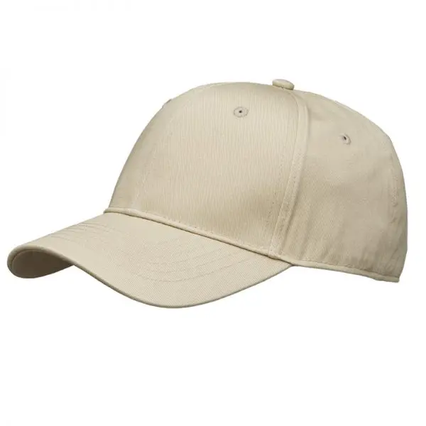 New sunyan baseball lippis